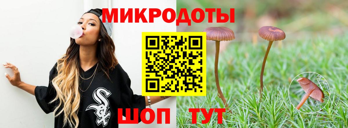 Галлюциногенные грибы GOLDEN TEACHER Кудрово